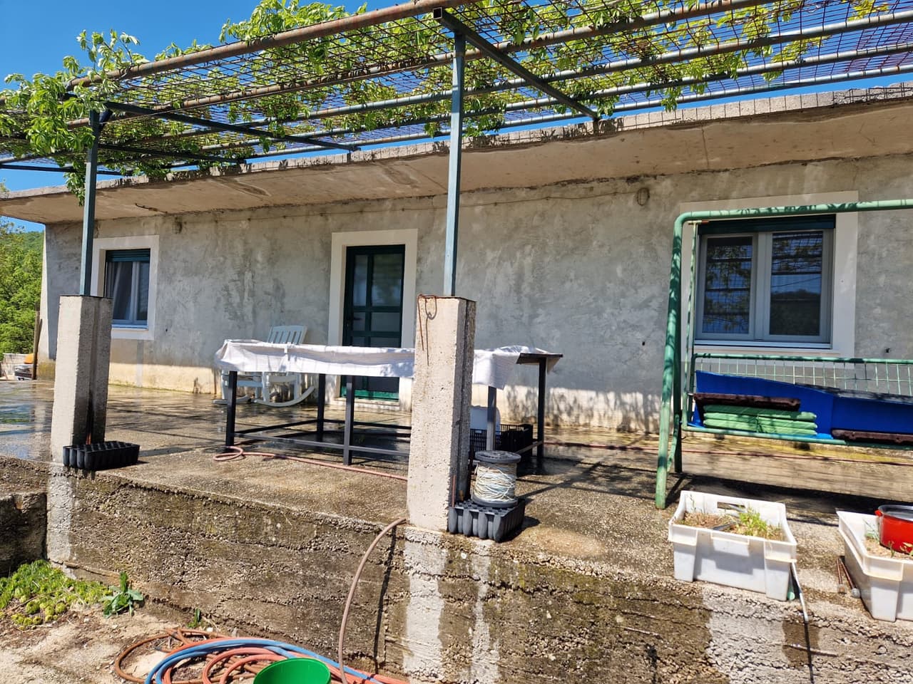 Kuća s velikom okućnicom - Korušce