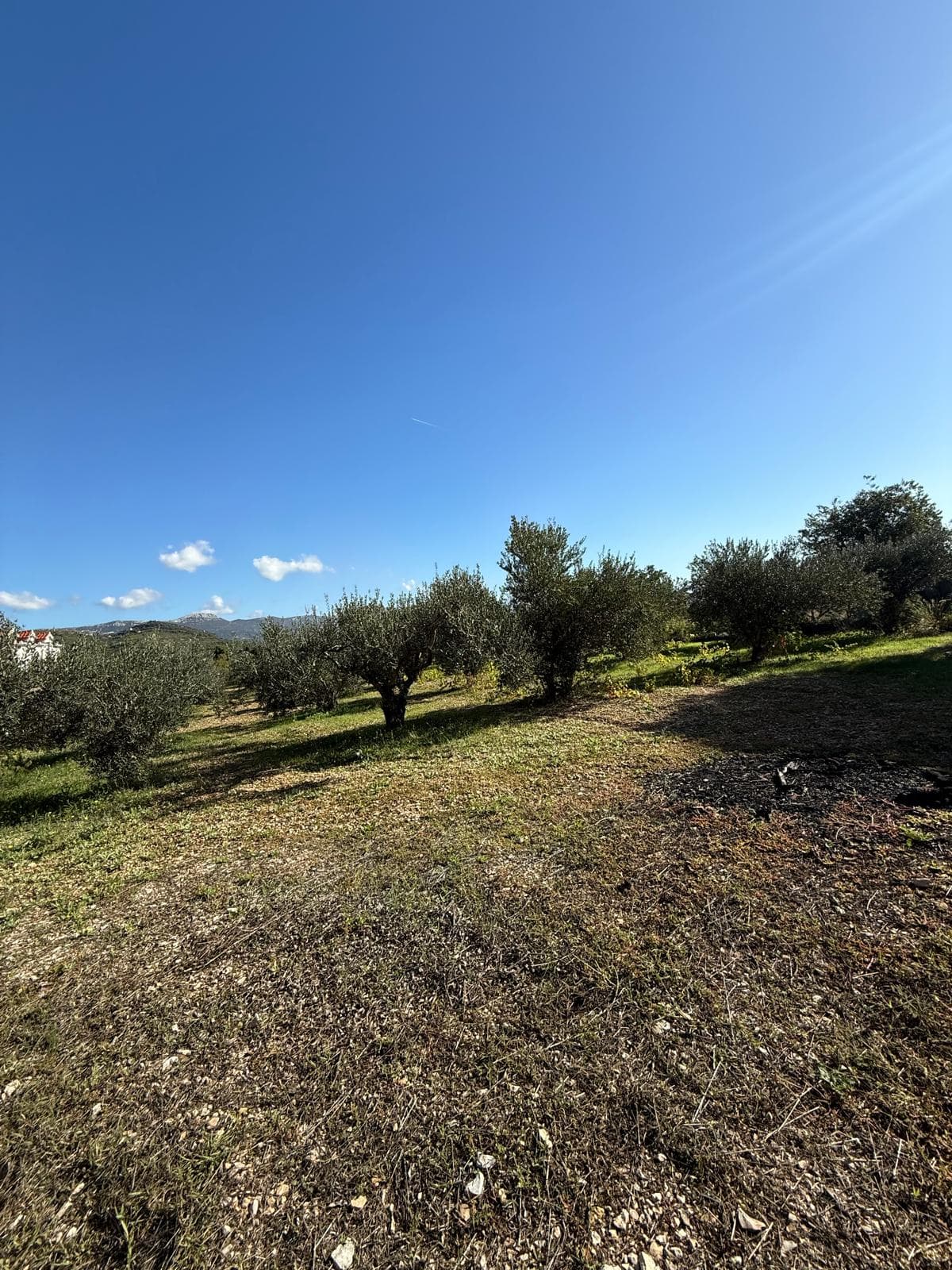 Građevinsko zemljište - Plano