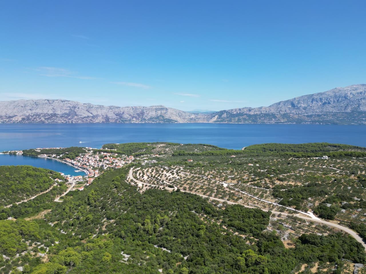 Kamena kuća u masliniku s pogledom na more